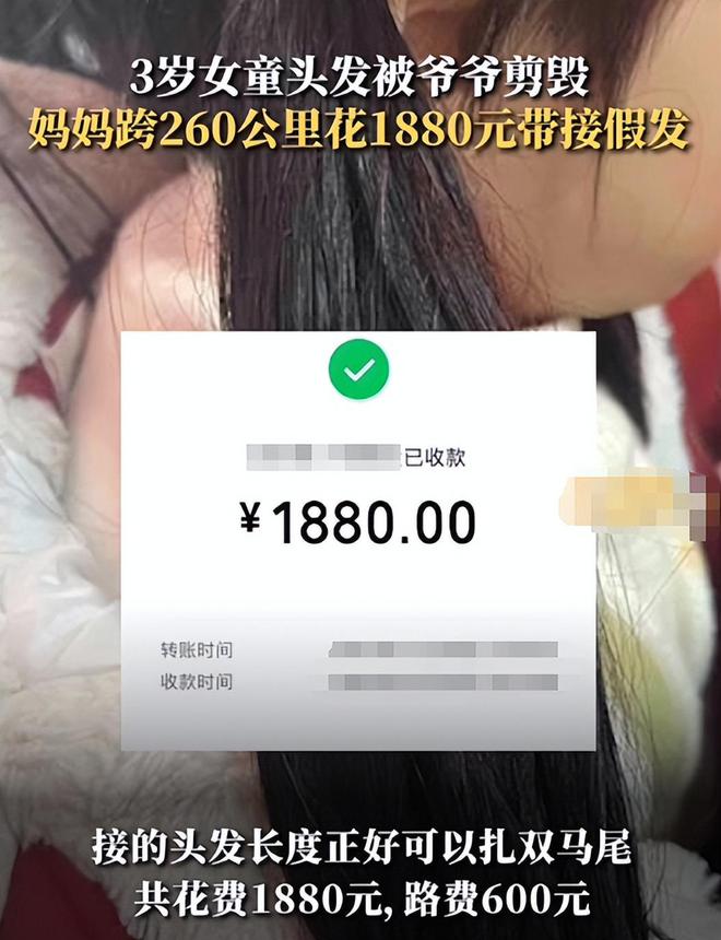 女儿头发被爷爷剪坏妈妈花1880元接假发揭开多少长辈的遮羞布(图3)