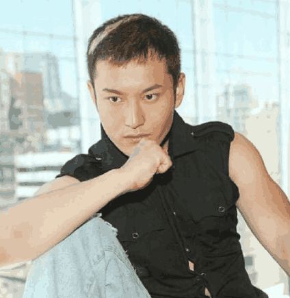 这三大男星居然常年戴假发!一头乌黑长发全是骗人的!(图4)