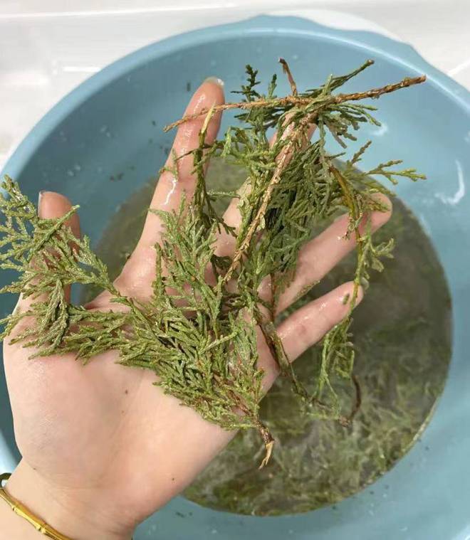 Emc易倍体育：只需三个月摆脱掉发！发量蓬松暴涨的秘诀！效果简直惊人！(图4)