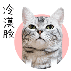 Emc易倍体育：正月剪头舅舅遭殃？(图2)