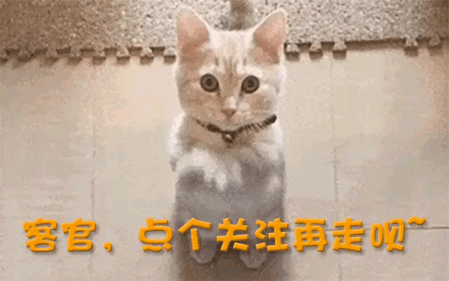 耽改剧男演员们现在怎么样了？顶流竟跌落神坛？谁才是最后赢家？(图16)