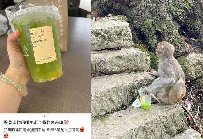 Emc易倍体育：“松弛贵州人有自己的星巴克”多少打工人在这待一天能炫8杯奶茶(图6)