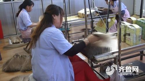 这就是山东纯手工、十几道工序假发卖到全世界点赞青岛李哥庄！(图2)