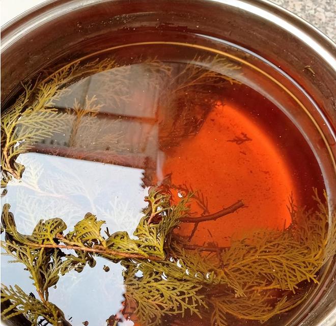 跪谢！原来掉头发真可以长出来！细软塌亲测有效的防脱生发指南！(图5)