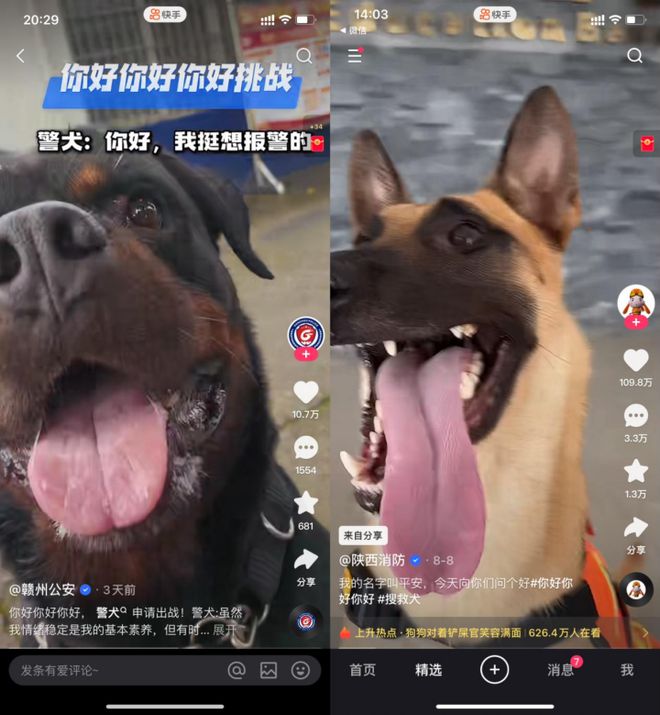 “你好你好”成网络社交新方式持续刷屏快手引热议(图3)