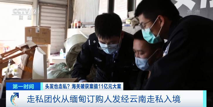 大量头发走私入境利润巨大！这些头发从哪来？(图2)