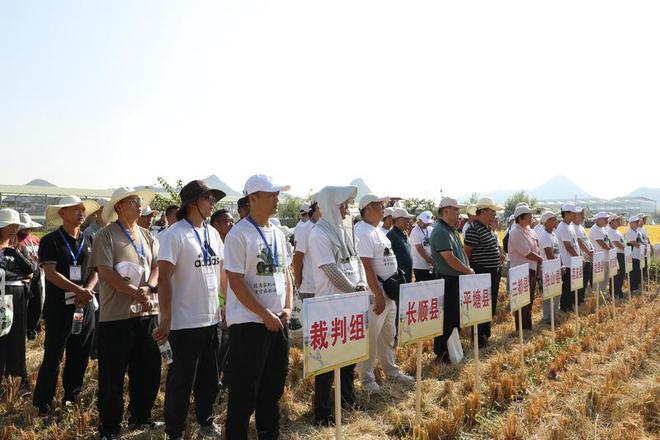 易倍体育网站：黔南州2024年粮食作物（水稻）机收减损大比武活动在长顺举行(图2)
