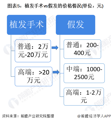 Emc易倍体育：“平替年货”爆火！超7成假发搜索者为95后穿戴甲日卖几千单不是梦【附假发行业发展现状分析】(图6)