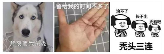 Emc易倍体育：“秃”如一夜春风来AI植发会是一门好生意吗？(图2)