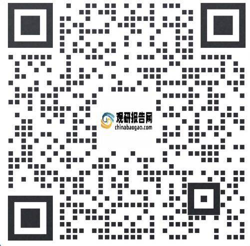 中国化纤假发行业发展现状调研与投资战略分析报告（2023-2030年）(图2)