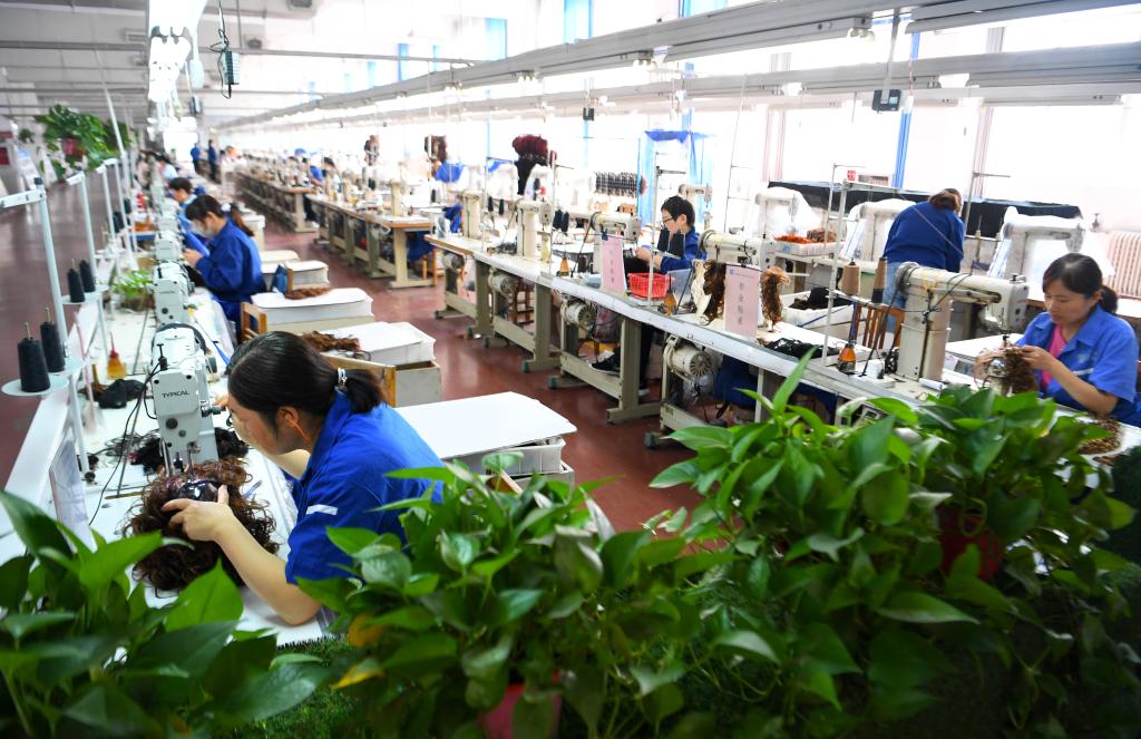 易倍体育网站：中国经济样本观察·“镇”了不起丨一缕“假”发“真”给力！“梳”出两百亿元大市场(图5)