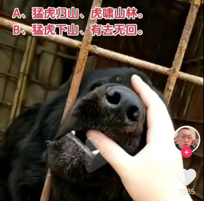易倍体育网站：霸凌者有恃无恐受害者打掉牙往肚里咽谁把他们被逼上“绝路”(图16)