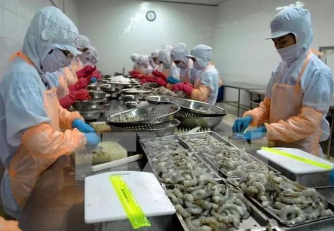 Emc易倍体育：越南人快被“逼疯”向全世界发求救信：他们为什么不去中国？(图11)
