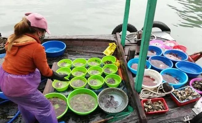 Emc易倍体育：越南人快被“逼疯”向全世界发求救信：他们为什么不去中国？(图22)