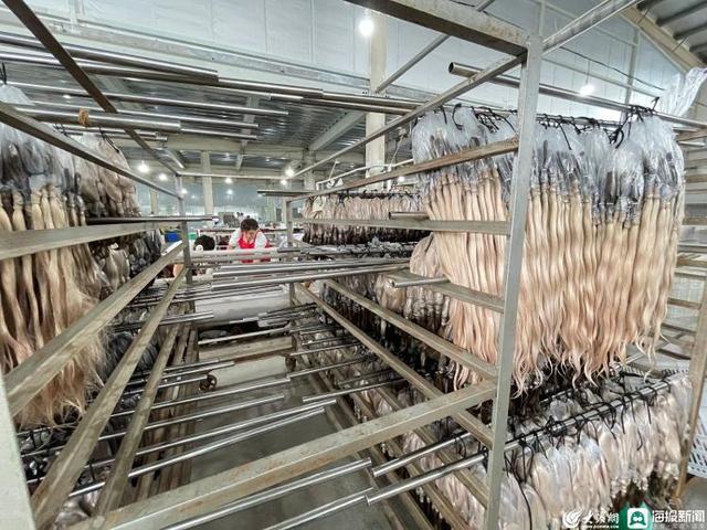被称为“黑黄金”的发制品带领山东这座古城镇走出国门跑出“加速度”(图4)