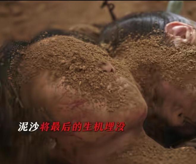 从头到脚皆可替？38岁刘诗诗这个镜头戳穿多少流量明星的体面(图19)