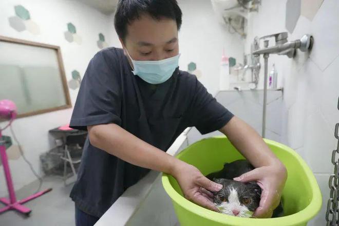 集体涨价！这项需求激增！(图3)
