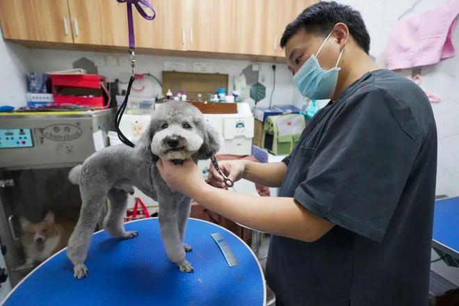 集体涨价！这项需求激增！(图4)