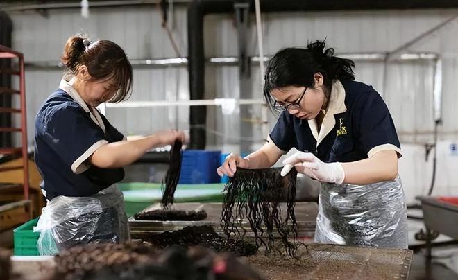 易倍体育网站：每年出口额达20亿98%卖中国！却很少见朝鲜产品原因让人意外(图3)