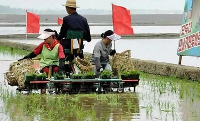 易倍体育网站：每年出口额达20亿98%卖中国！却很少见朝鲜产品原因让人意外(图12)