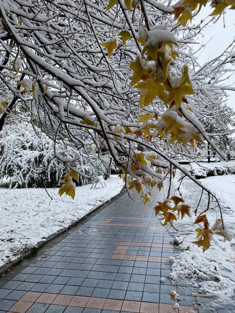 “最怕冬月十六是晴天”今日冬月十六天晴有啥说法？(图6)