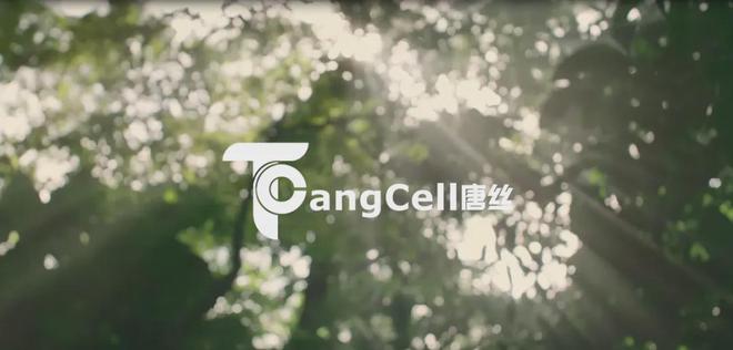 2024Canopy纽扣评级公布唐山三友化纤第一(图2)
