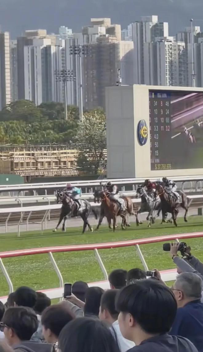 郭富城东莞寻根后现身香港马场给自家马匹加油穿西装头发黑好帅(图14)
