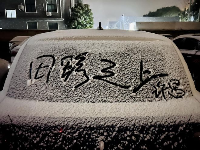 独木不成林纪录片《田野之上》导演手记(图10)