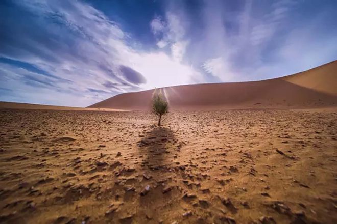 穷一时富一世3生肖2025年厚积薄发发财成双赚得万贯家产(图2)
