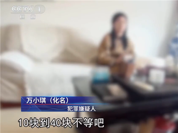 每单收几十元：女子开10多家网店接单网暴他人(图4)