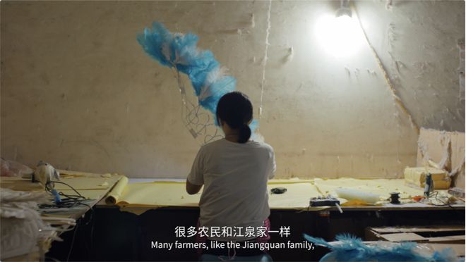 新纪实纪录片《田野之上》第四集《独木不成林(图19)