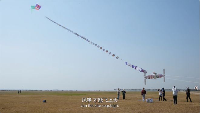 新纪实纪录片《田野之上》第四集《独木不成林(图22)