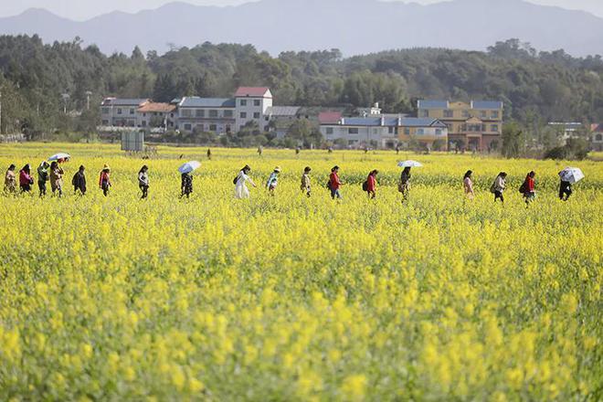 易倍体育网站：郴州旅游有哪些热门景点？旅游有哪些好处？(图6)