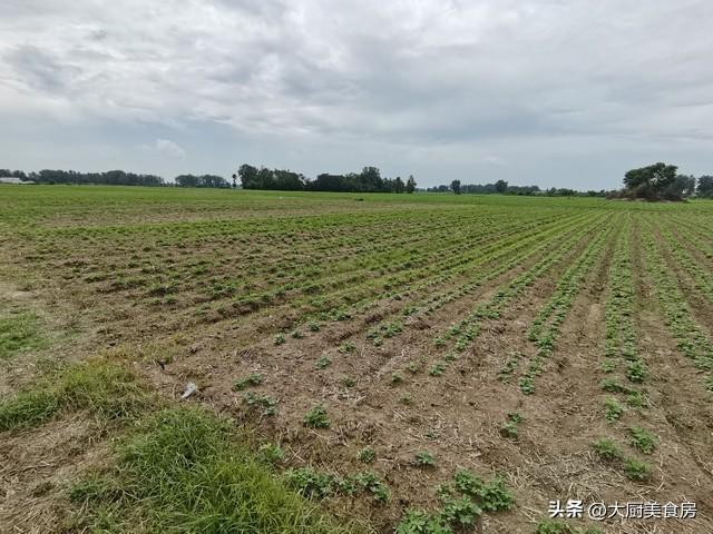 “三月怕十二不富也安康”明日三月十二有啥说法？早防备(图2)