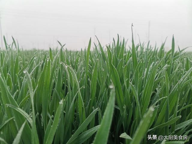 “三月怕十二不富也安康”明日三月十二有啥说法？早防备(图3)