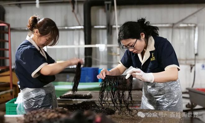易倍体育网站：朝鲜每年卖给中国20亿的商品都是些什么？你可能一辈子都猜不到…(图2)