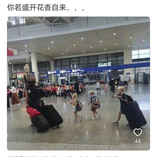 来华游客暴增的根本原因是什么？网友：有点万国来朝的意思(图6)