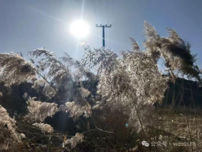 “最怕谷雨是晴天”谷雨将至天晴有啥预兆？看农谚咋说(图2)