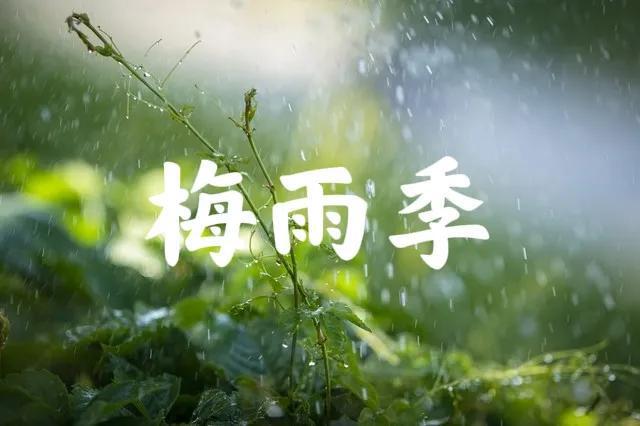 “早梅旱断伏晚梅雨不休”今年梅雨是早是晚？早了解早做准备(图3)