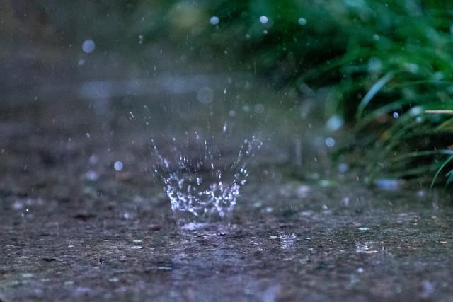“早梅旱断伏晚梅雨不休”今年梅雨是早是晚？早了解早做准备(图6)