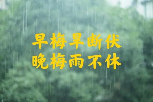 “早梅旱断伏晚梅雨不休”今年梅雨是早是晚？早了解早做准备(图8)
