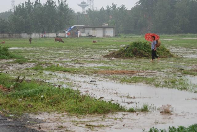 “早梅旱断伏晚梅雨不休”今年梅雨是早是晚？早了解早做准备(图10)