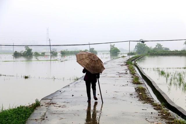 “早梅旱断伏晚梅雨不休”今年梅雨是早是晚？早了解早做准备(图11)