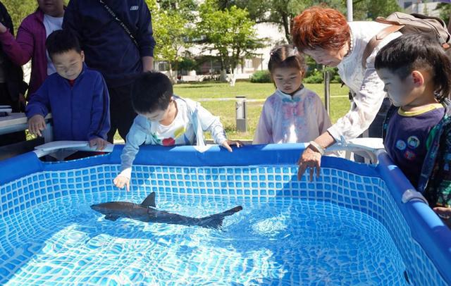 2025年北京科技周启动“机械水族馆”可近距离欣赏(图1)