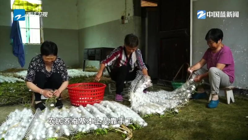 浙商的长期主义·“耐心”民资观察丨巴贝集团：从“作茧自缚”到“破茧重生”(图8)