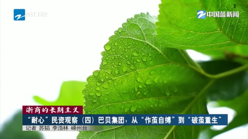 浙商的长期主义·“耐心”民资观察丨巴贝集团：从“作茧自缚”到“破茧重生”(图9)
