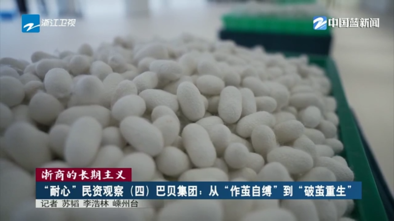浙商的长期主义·“耐心”民资观察丨巴贝集团：从“作茧自缚”到“破茧重生”(图13)