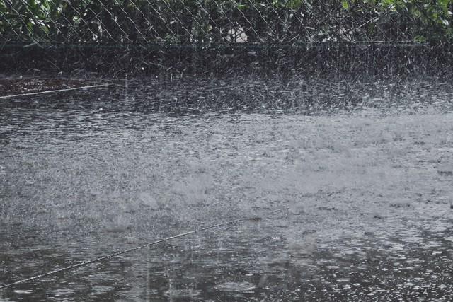 Emc易倍体育：“立夏逢换甲有雨也别下”今日立夏甲戌日下雨有啥说法？(图3)