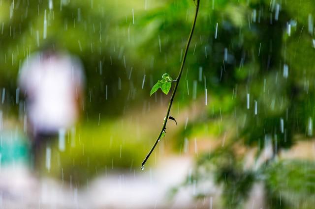 Emc易倍体育：“立夏逢换甲有雨也别下”今日立夏甲戌日下雨有啥说法？(图4)