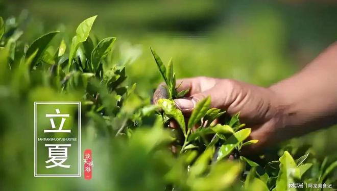 易倍体育网站：老话“早立夏冷晚立夏热”是什么意思？今年夏天热不热呢？(图2)